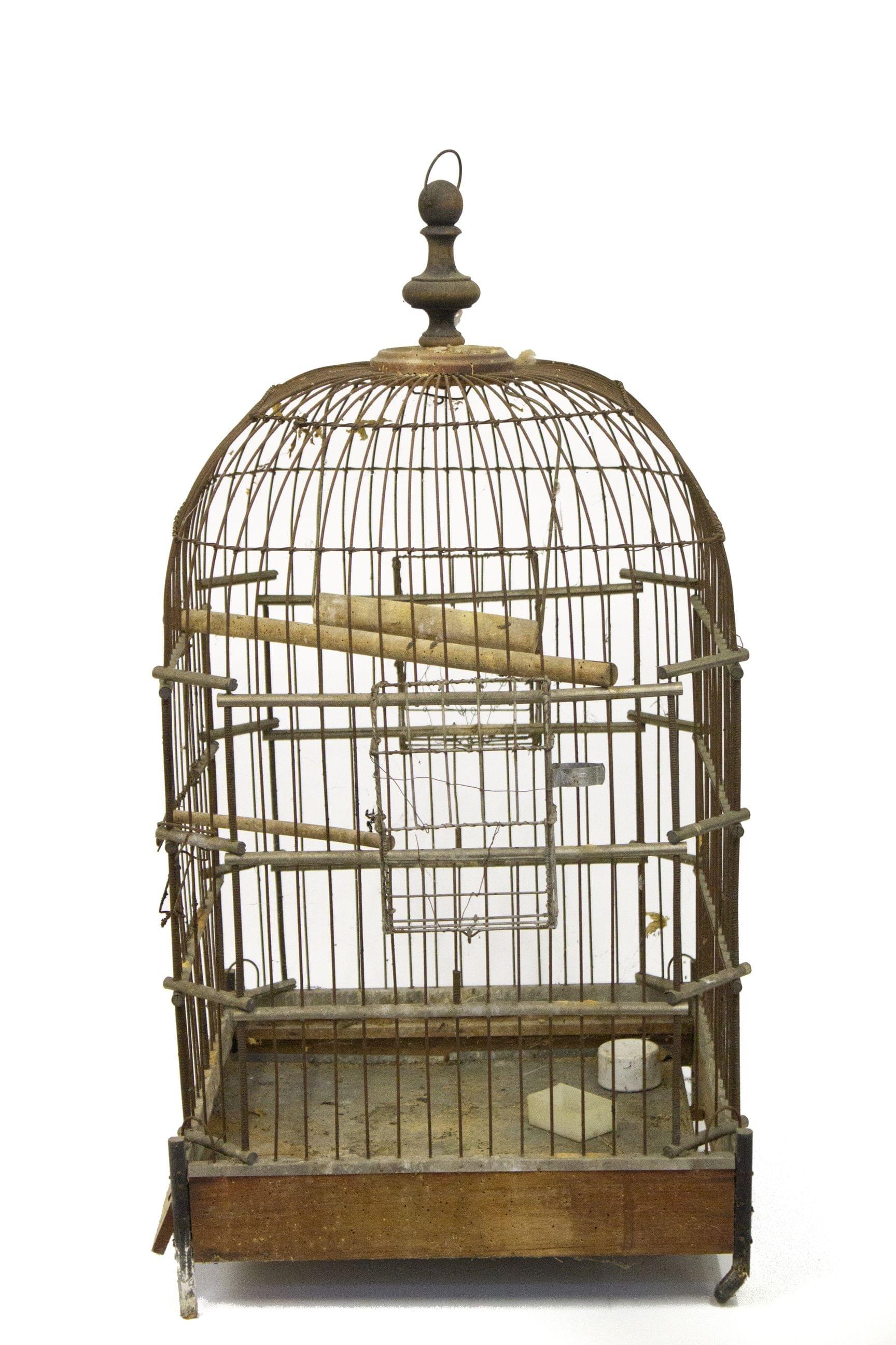 Cage à oiseau en forme de dôme, XIXe s